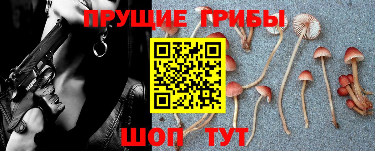Белогорск  Галлюциногенные грибы GOLDEN TEACHER  Вход с VPN 